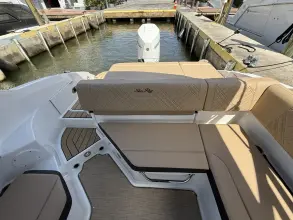 Thumbnail von Sea Ray SDX 250 Outboard