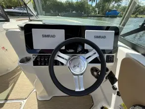 Thumbnail von Sea Ray SDX 250 Outboard