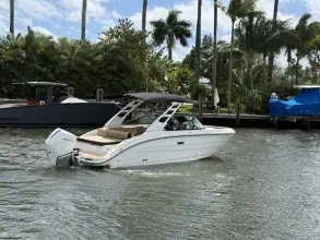 Thumbnail von Sea Ray SDX 250 Outboard
