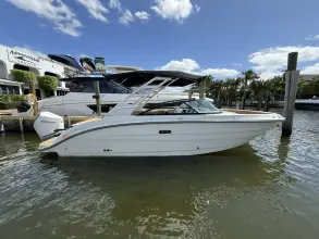 Thumbnail von Sea Ray SDX 250 Outboard