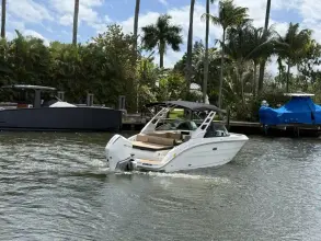Thumbnail von Sea Ray SDX 250 Outboard