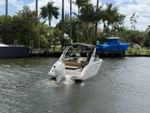 Thumbnail von Sea Ray SDX 250 Outboard
