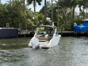 Thumbnail von Sea Ray SDX 250 Outboard