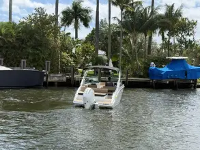 Thumbnail von Sea Ray SDX 250 Outboard