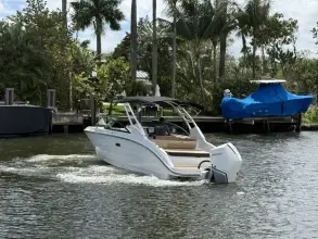 Thumbnail von Sea Ray SDX 250 Outboard