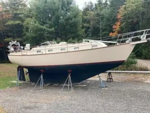 Thumbnail von Island Packet 37 Saorsa