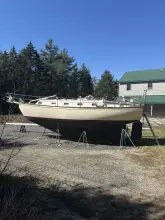 Thumbnail von Island Packet 37 Saorsa