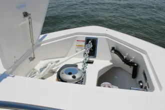 Thumbnail von Boston Whaler 350 Realm