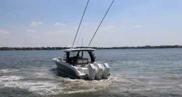 Thumbnail von Boston Whaler 350 Realm