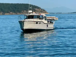 Thumbnail von Ranger Tugs R-27 NOODLES