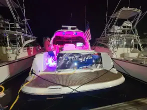 Thumbnail von Sea Ray 390 Sundancer Freedom