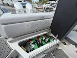 Thumbnail von Sea Ray SDX 290 Outboard