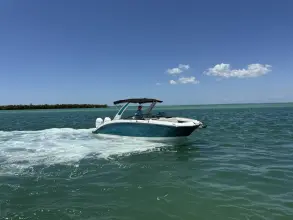 Thumbnail von Sea Ray SDX 290 Outboard