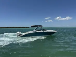 Thumbnail von Sea Ray SDX 290 Outboard
