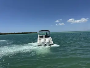 Thumbnail von Sea Ray SDX 290 Outboard
