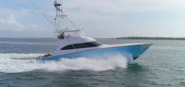 Thumbnail von Viking 70 Convertible Bandito