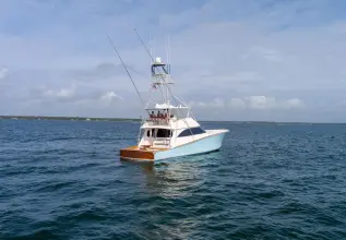 Thumbnail von Viking 70 Convertible Bandito