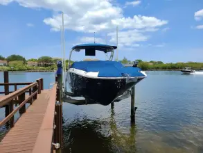 Thumbnail von Sea Ray SDX 290 Outboard