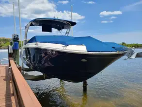 Thumbnail von Sea Ray SDX 290 Outboard