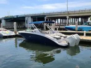 Thumbnail von Sea Ray SDX 290 Outboard