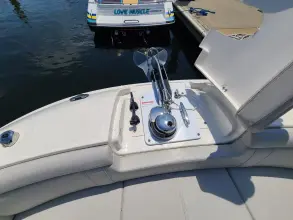 Thumbnail von Sea Ray SDX 290 Outboard