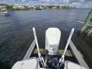 Thumbnail von Boston Whaler 250 Dauntless