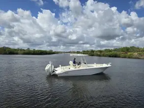 Thumbnail von Boston Whaler 250 Dauntless