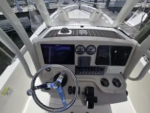 Thumbnail von Boston Whaler 250 Dauntless