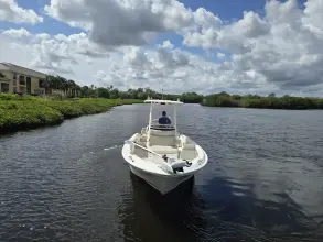 Thumbnail von Boston Whaler 250 Dauntless