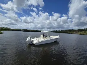 Thumbnail von Boston Whaler 250 Dauntless