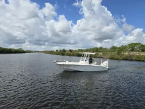 Thumbnail von Boston Whaler 250 Dauntless