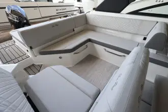 Thumbnail von Sea Ray SDX 250 Outboard