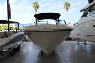 Thumbnail von Sea Ray SDX 250 Outboard