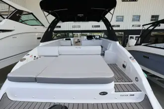 Thumbnail von Sea Ray SDX 250 Outboard