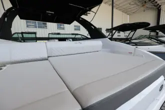 Thumbnail von Sea Ray SDX 250 Outboard