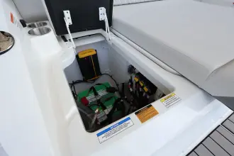 Thumbnail von Sea Ray SDX 250 Outboard