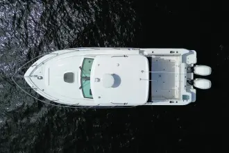 Thumbnail von Boston Whaler 315 Conquest