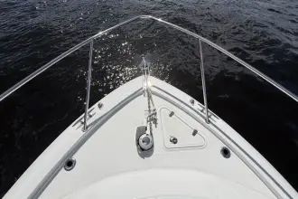 Thumbnail von Boston Whaler 315 Conquest