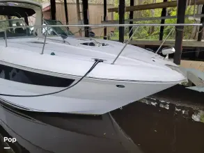 Thumbnail von Sea Ray 330 Sundancer