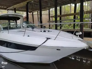 Thumbnail von Sea Ray 330 Sundancer