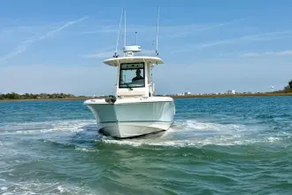 Thumbnail von Boston Whaler 250 Outrage