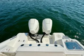 Thumbnail von Boston Whaler 250 Outrage