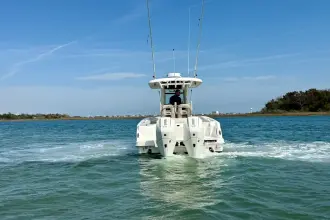 Thumbnail von Boston Whaler 250 Outrage