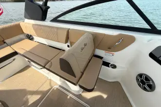 Thumbnail von Sea Ray SDX 250