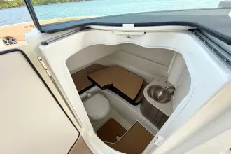 Thumbnail von Sea Ray SDX 250