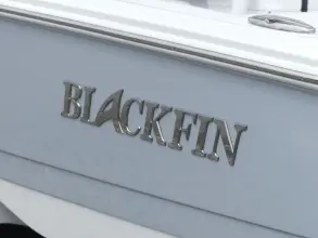 Thumbnail von Blackfin 242 HB