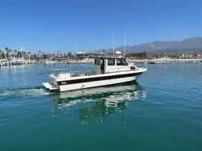 Radon 29 Sport Fish Cojo