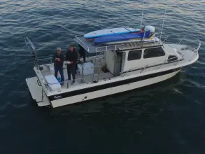 Thumbnail von Radon 29 Sport Fish Cojo