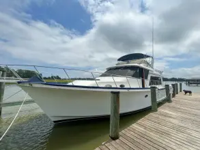 Ocean Alexander Mark II Pilothouse SURPRISE