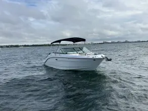 Thumbnail von Sea Ray SLX 260 Outboard